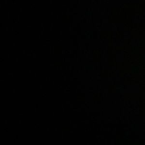 Meet your Posher, Solomon